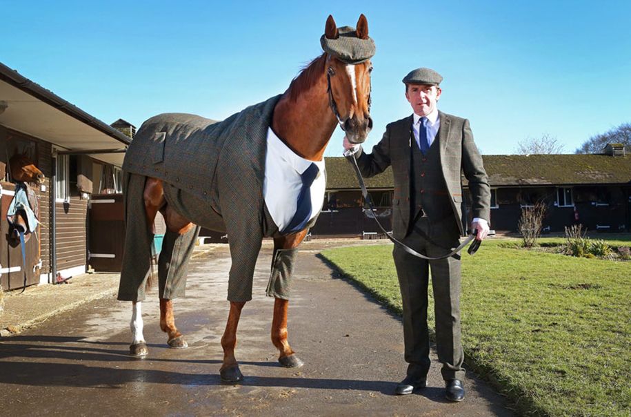 तीन टुकड़े-सूट के लिए उत्तम दर्जे का-घोड़े की एम्मा-sandham किंग 1