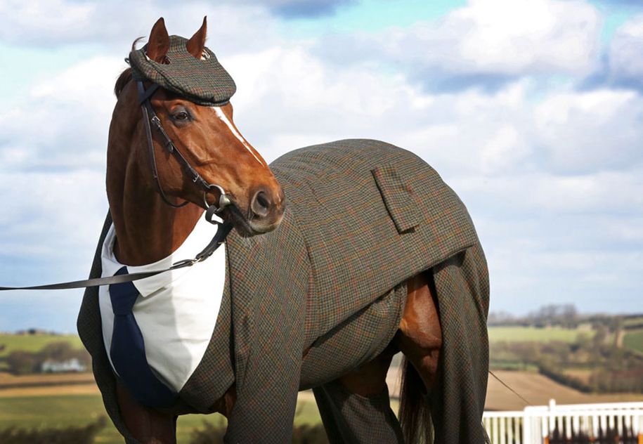 上品な馬のスリーピーススーツ-emma-sandham-king-4