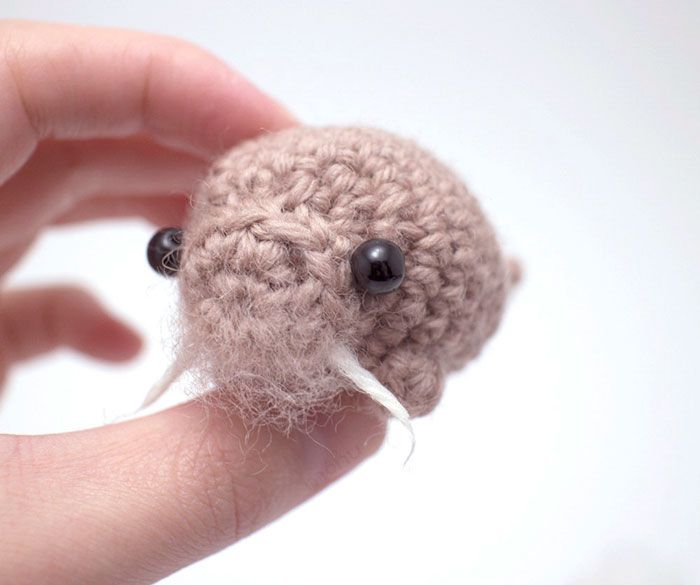 मिनी crochet-जानवरों-ऊनी-mogu -5