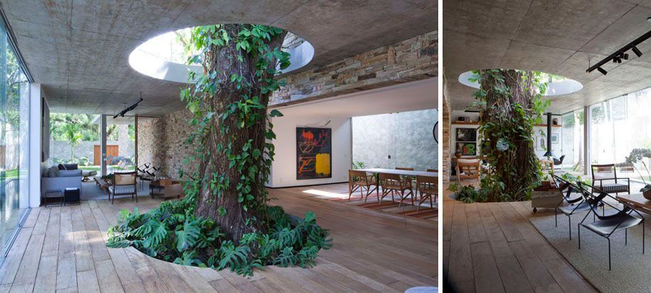 grüne-architektur-häuser-gebaut-um-bäume-13