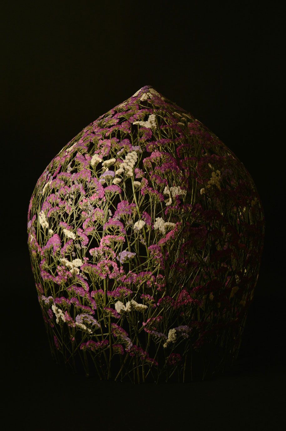 сушеные цветы прессованный дизайн игнацио каналы арацил-7