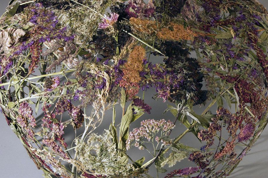 सूखे फूल दबाया-डिजाइन-Ignacio चैनलों-aracil-11