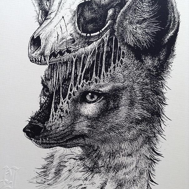 eerie-gruesome-gothic-black-white-animal-skull-art-paul-jackson-19