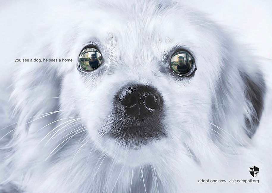 social-medvetenhet-kraftfull-djur-annonser-30