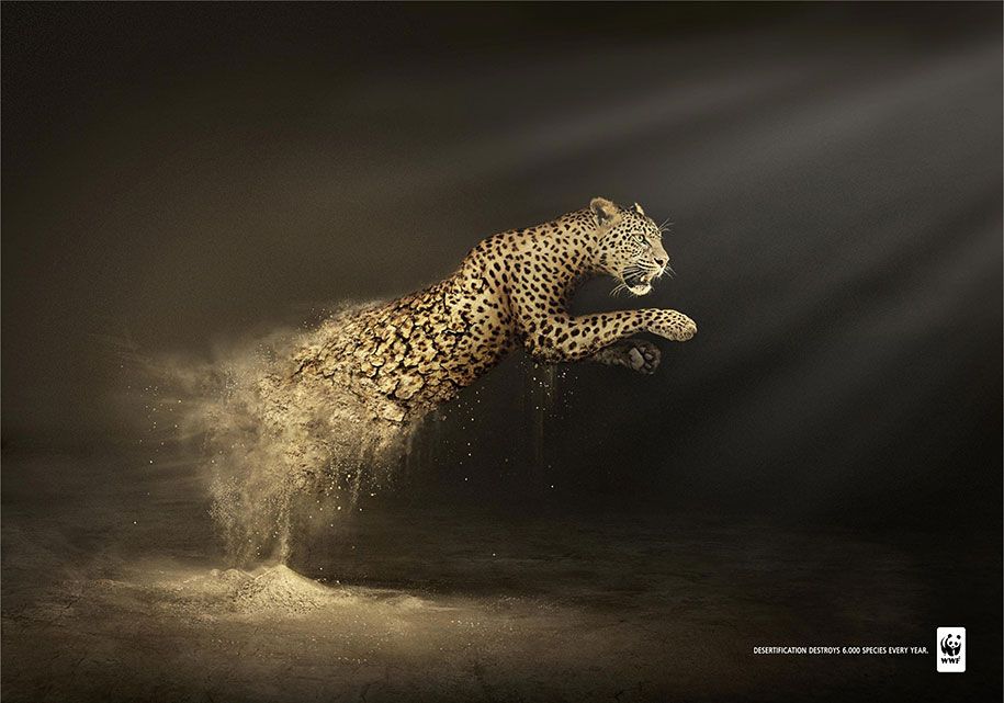 social-medvetenhet-kraftfull-djur-annonser-40