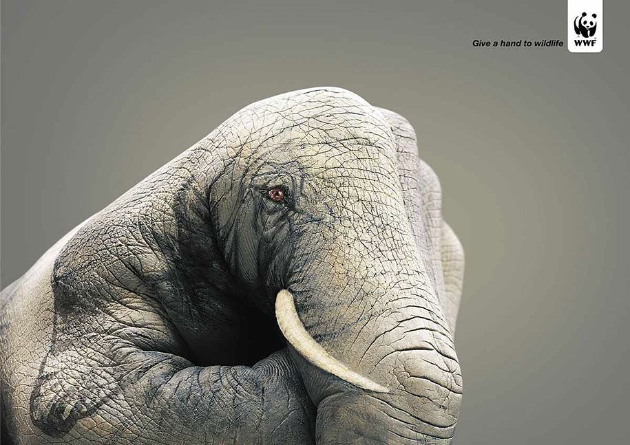 social-medvetenhet-kraftfull-djur-annonser-43