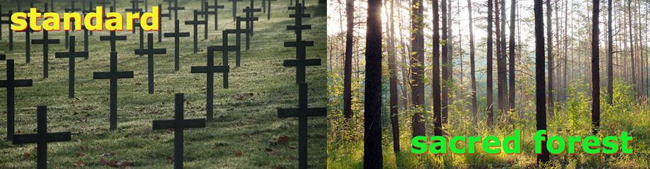 Heilige-Erinnerung-Wald-biologisch abbaubare-Bestattungs-Pod-Kapsel-Mundi-6-1