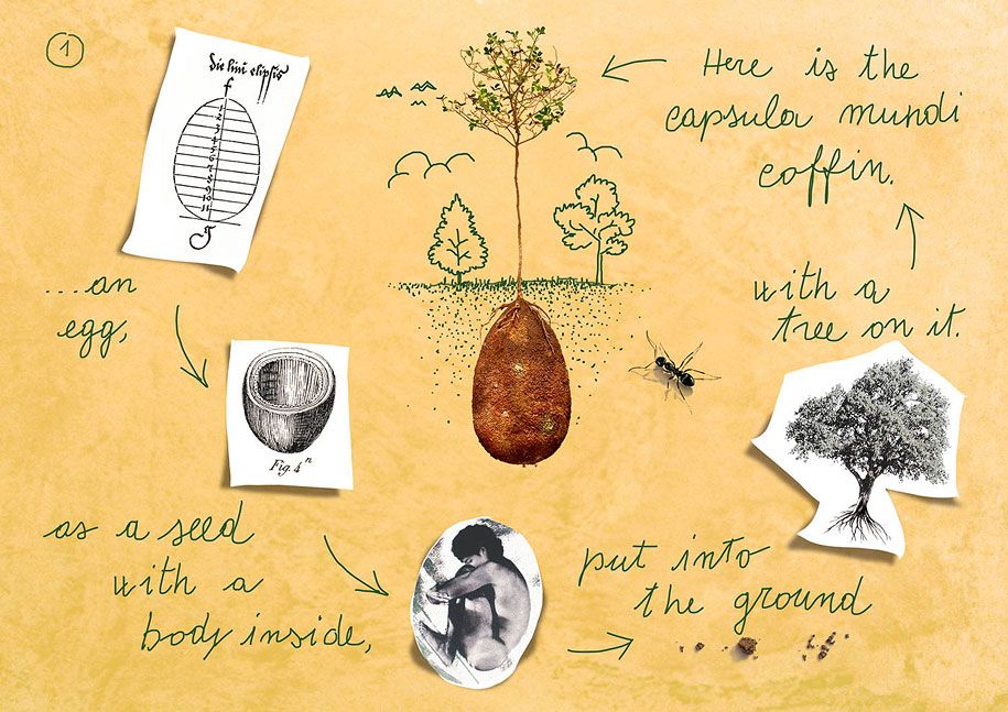 sacred-memory-forest-biodegradable-burial-pod-capsula-mundi-2