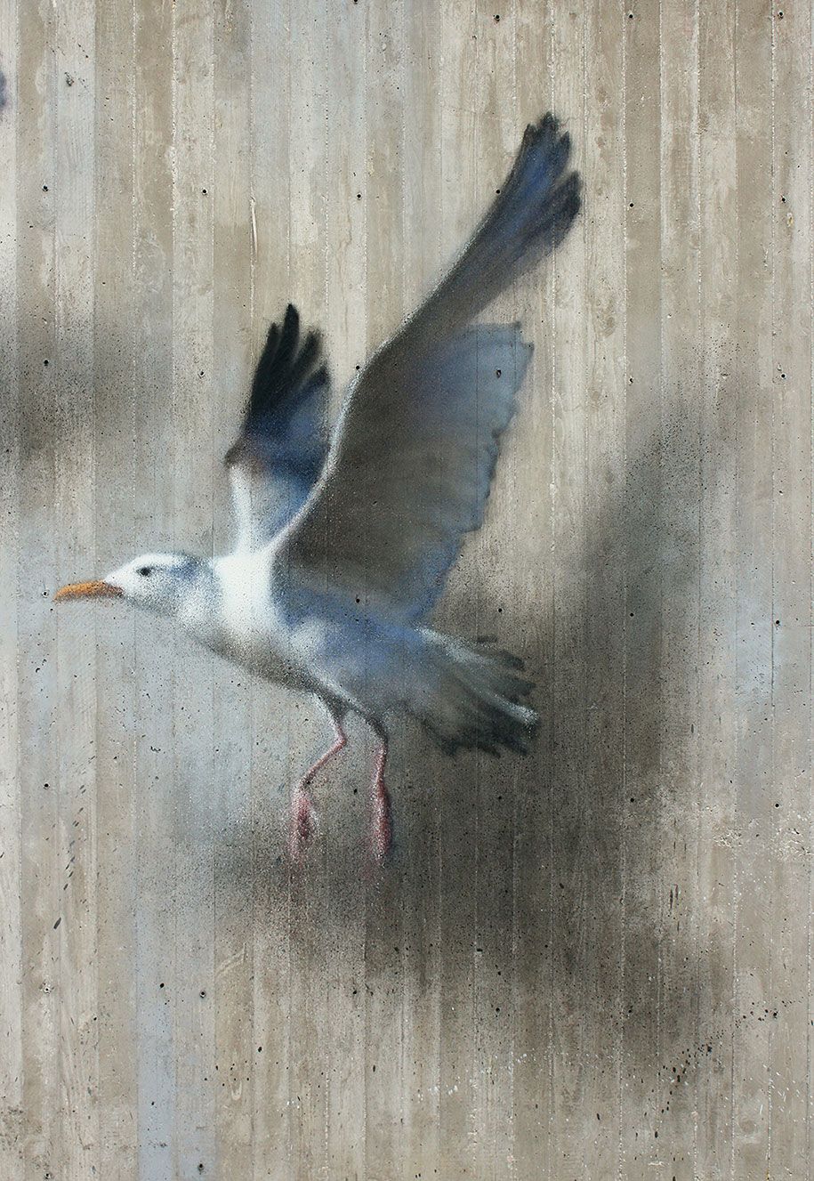 سڑک کے کنارے - گلیوں میں آرٹ - پرندوں-دیوار-ایرن-ریکسیون 5