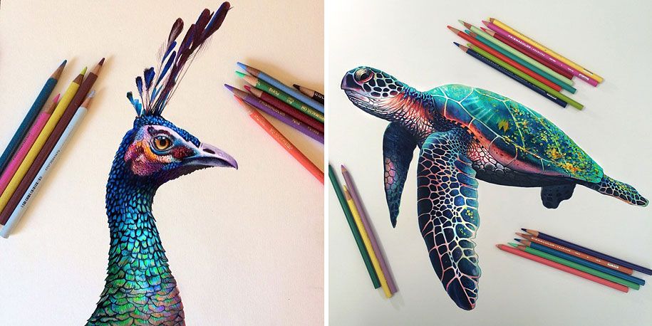 реалистичные цветные карандаши рисунки morgan-davidson-1