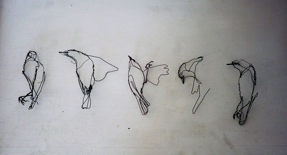 नोटबुक-आड़ी-तिरछी रेखाएं तार-पशु-मूर्तिकला-मूर्तियों-डेविड-Oliveira-पुर्तगाल -3