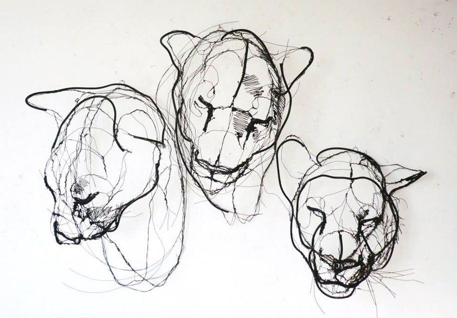 كراسة الرسم-خربشة-سلك-حيوان-نحت-تماثيل-ديفيد-أوليفيرا-البرتغال -11