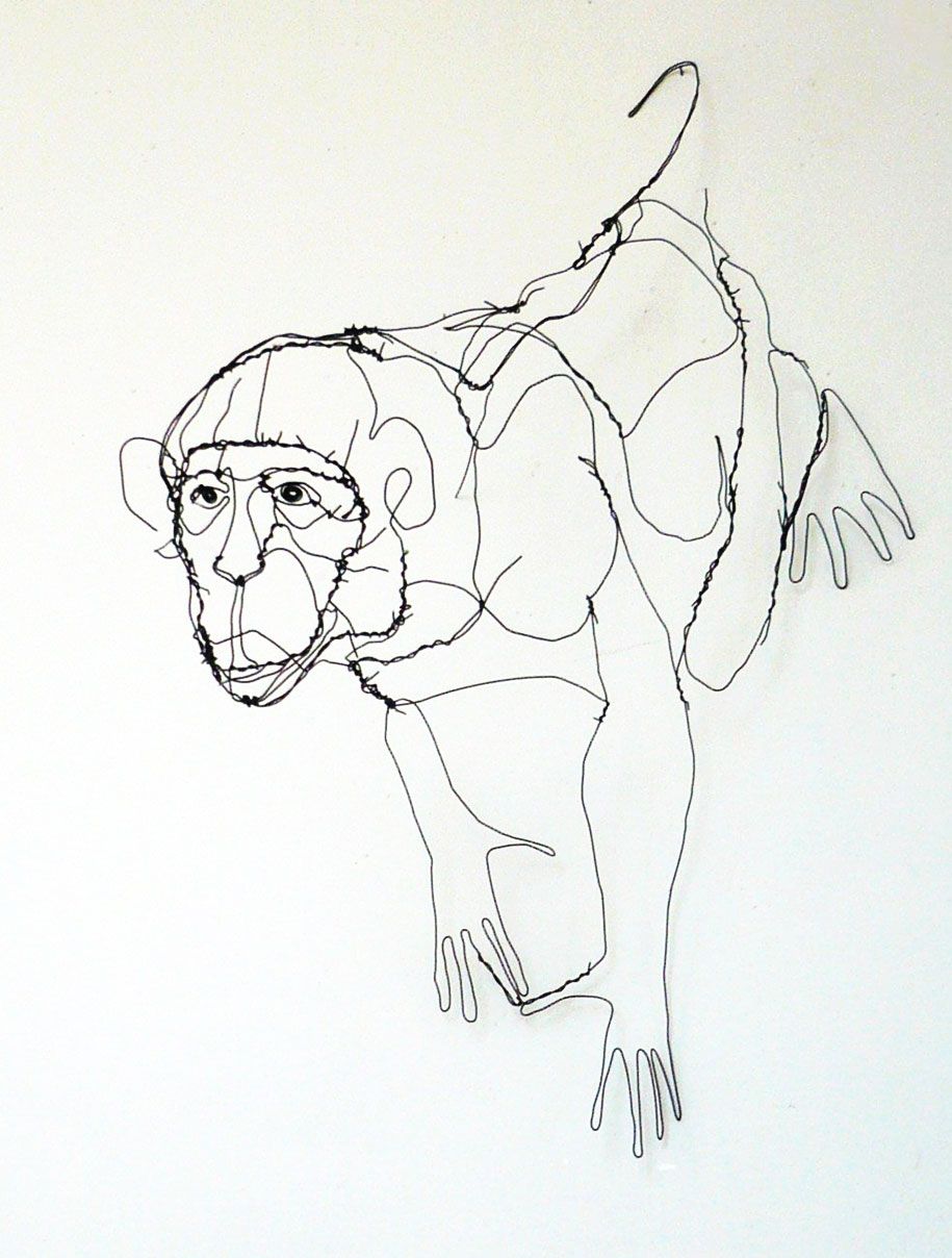 كراسة الرسم-خربشة-سلك-حيوان-نحت-تماثيل-ديفيد-أوليفيرا-البرتغال -12