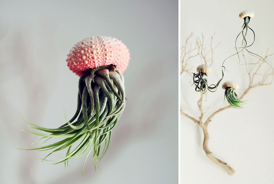 idee per fioriere-vaso-piante-grandi-divertenti-pazze-moderne-4