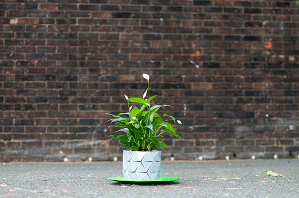 great-funny-crazy-modern-plant-pot-planter-ideas-6
