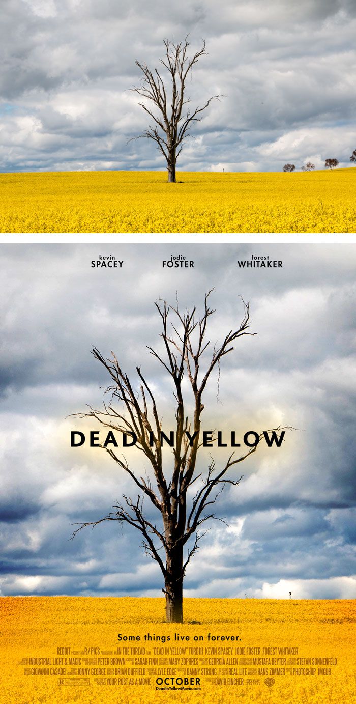 random-photos-turned-professional-movie-poster-your-post-as-a-movie-13