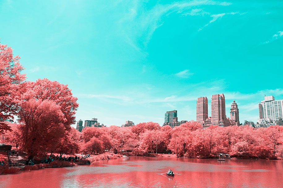 ピンク色のニューヨーク-セントラルパーク-パオロ-ペティジャーニ-4