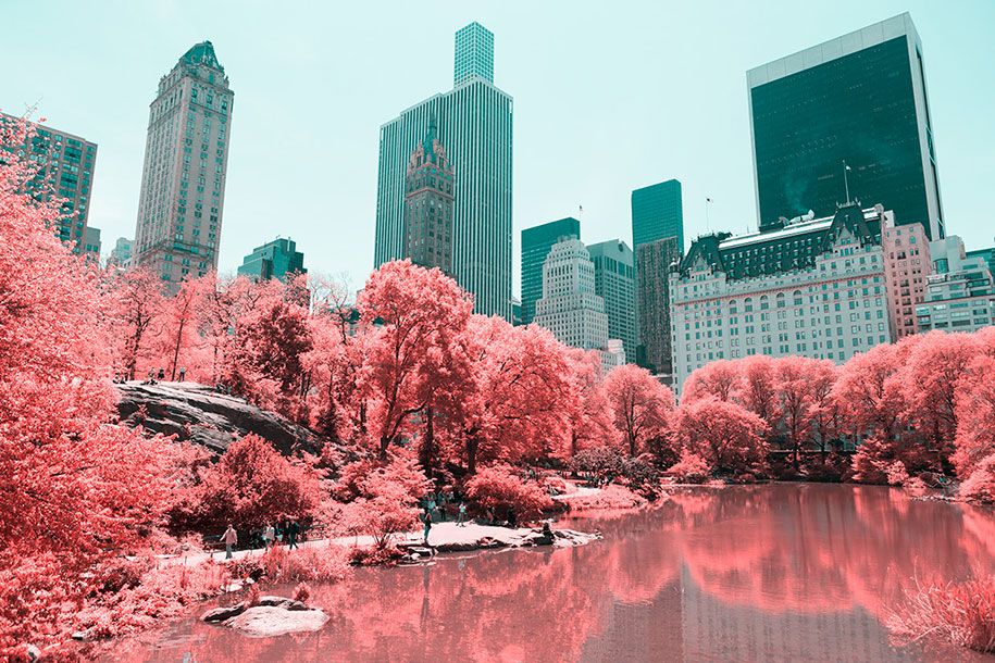 rosa-gefärbte-New-York-Central-Park-Paolo-Pettigiani-13