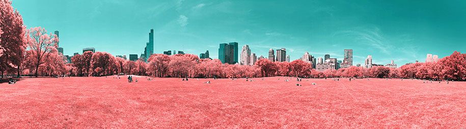 rosa-gefärbte-New York-Central-Park-Paolo-Pettigiani-6