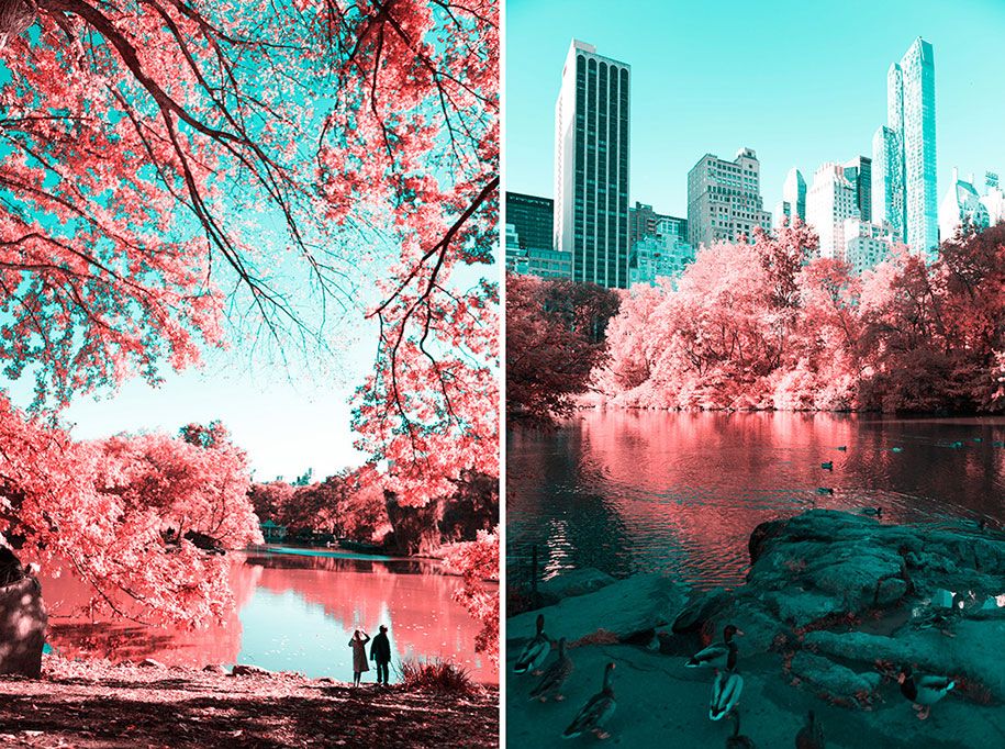 ピンク色のニューヨーク-セントラルパーク-パオロ-ペティジャーニ-12