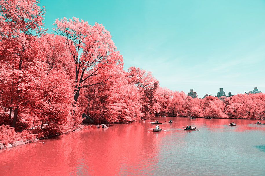 rosa-gefärbte-New York-Central-Park-Paolo-Pettigiani-8