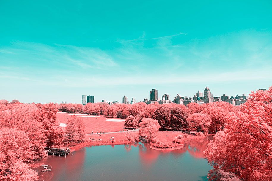 rosa-gefärbte-New-York-Central-Park-Paolo-Pettigiani-9