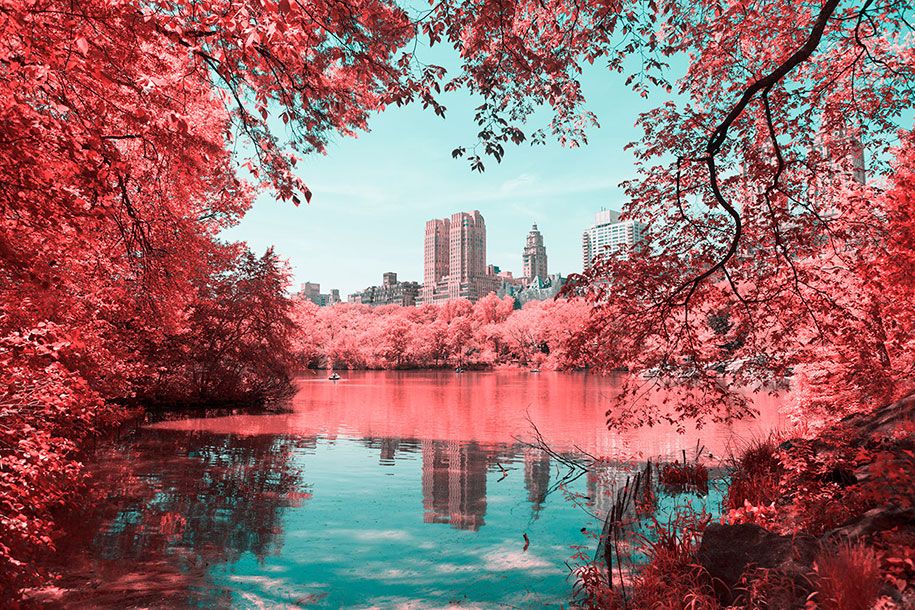 rosa-gefärbte-New York-Central-Park-Paolo-Pettigiani-10