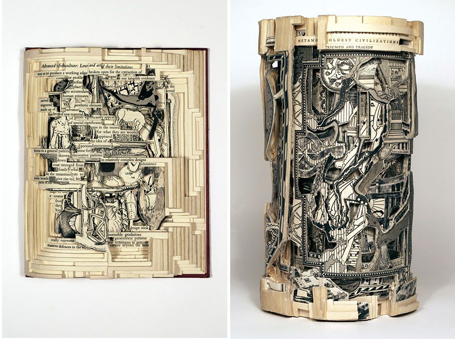 book-surgeon-carvings-art-brian-dettmer-33