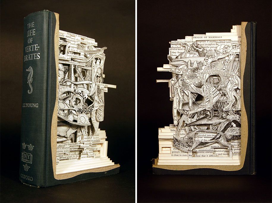 livro-cirurgião-carvings-art-brian-dettmer-29
