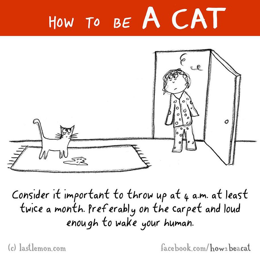 smiješna-ilustracija-vodič-kako-biti-mačka-Lisa-Swerling-Ralph-Lazar-17