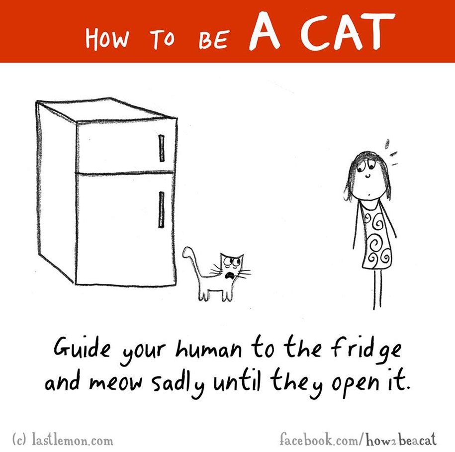 smiješna-ilustracija-vodič-kako-biti-mačka-Lisa-Swerling-Ralph-Lazar-23