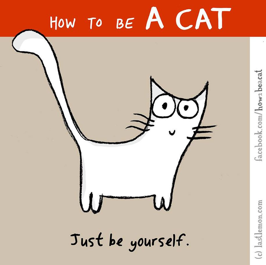 zabawny-ilustracyjny przewodnik-jak-zostać-kotem-Lisą-swerling-ralph-lazar-29