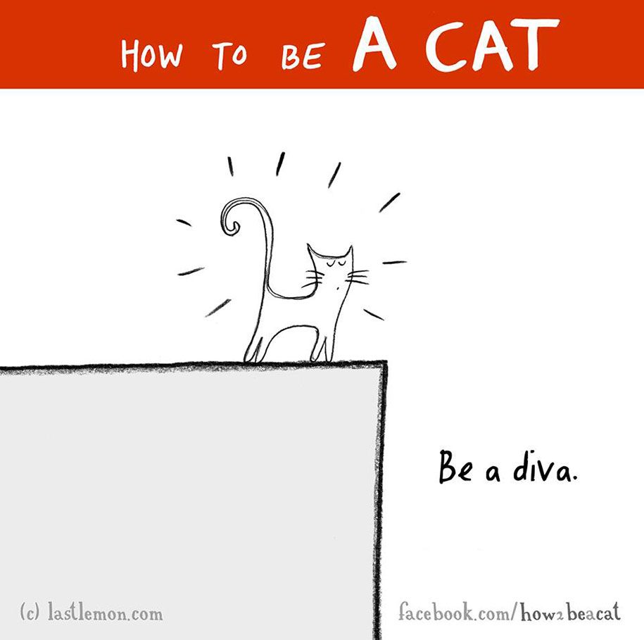 איור-מצחיק-מדריך-איך-להיות-חתול-ליסה-סוורלינג-ראלף-לזר -46