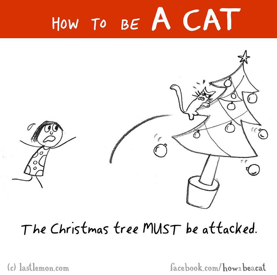 smiješna-ilustracija-vodič-kako-biti-mačka-Lisa-Swerling-Ralph-Lazar-77