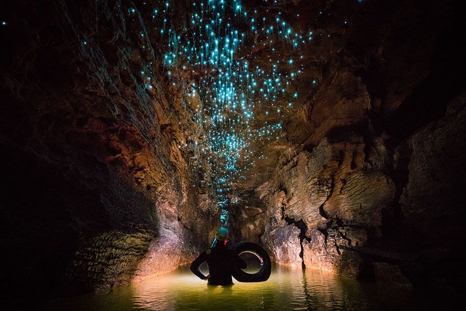 चमक-कीड़े-चूना पत्थर की गुफाओं-शॉन-Jeffers-सुंदर-न्यूजीलैंड -3