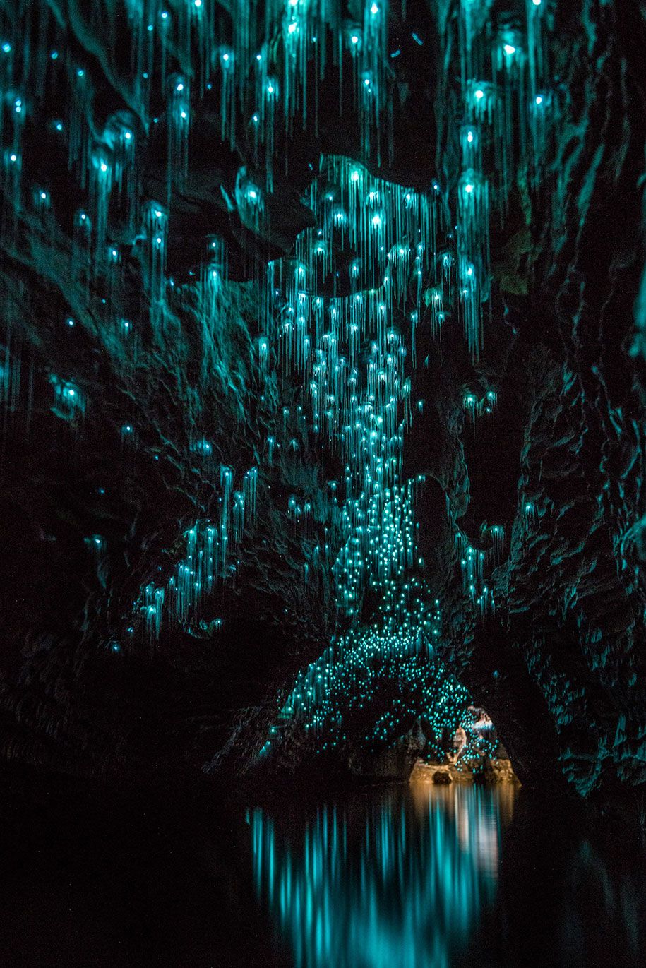 сјајни црви-кречњаци-пећине-Шон-Џеферс-прелепи-Нови Зеланд-9