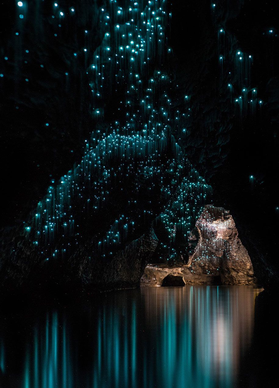 ragyogó férgek-mészkő-barlangok-shaun-jeffers-gyönyörű-új-zéland-7