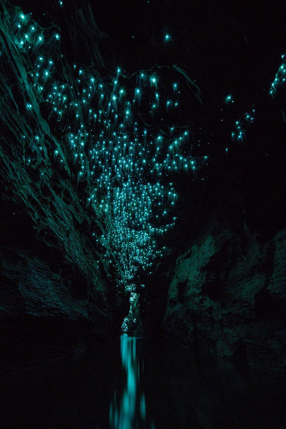 glow-worms-limestone-caves-shaun-jeffers-beautiful-nowa-zelandia-11