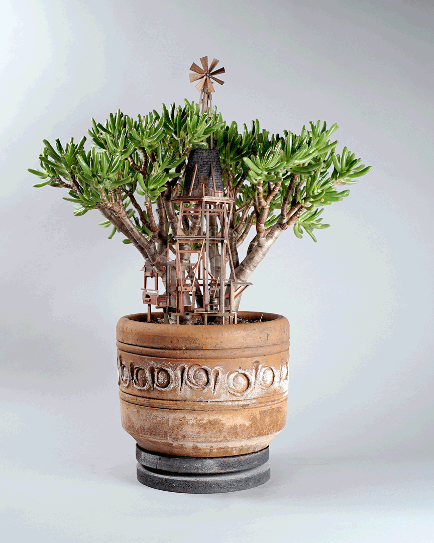 миниатюрный домик на дереве-комнатные растения-jedediah-corwyn-voltz-30