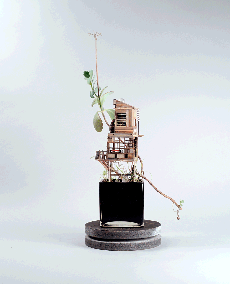 miniature-treehouse-houseplants-jedediah-corwyn-voltz-2