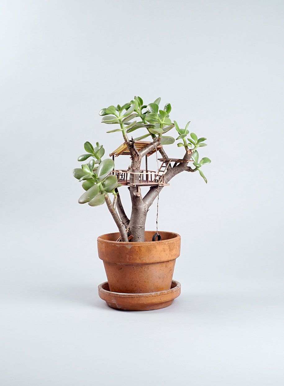 miniaturna-hišica na drevesu-sobne rastline-jedediah-corwyn-voltz-23