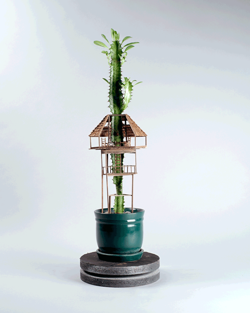 minijaturna-kućica na drvetu-sobne biljke-jedediah-corwyn-voltz-1