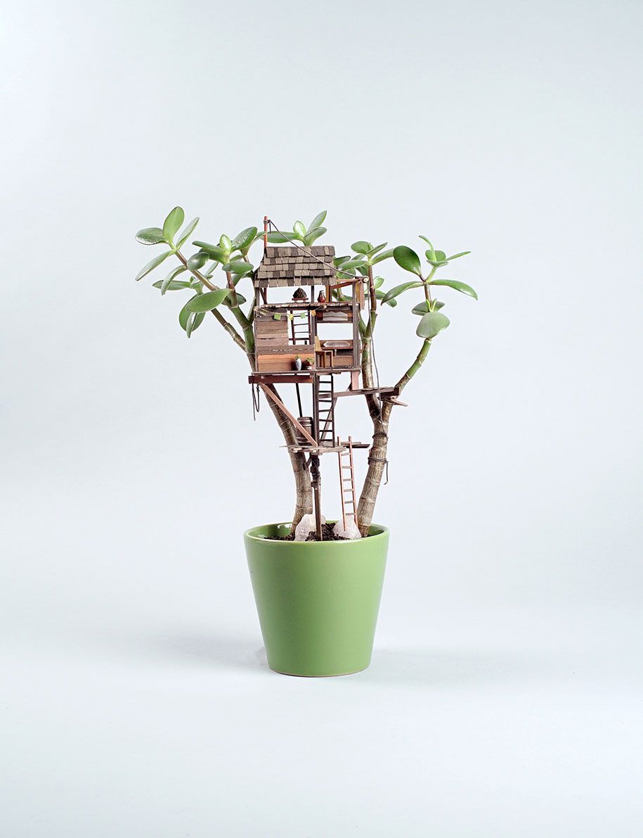 минијатурна-кућица на дрвету-собне биљке-једедиах-цорвин-волтз-24