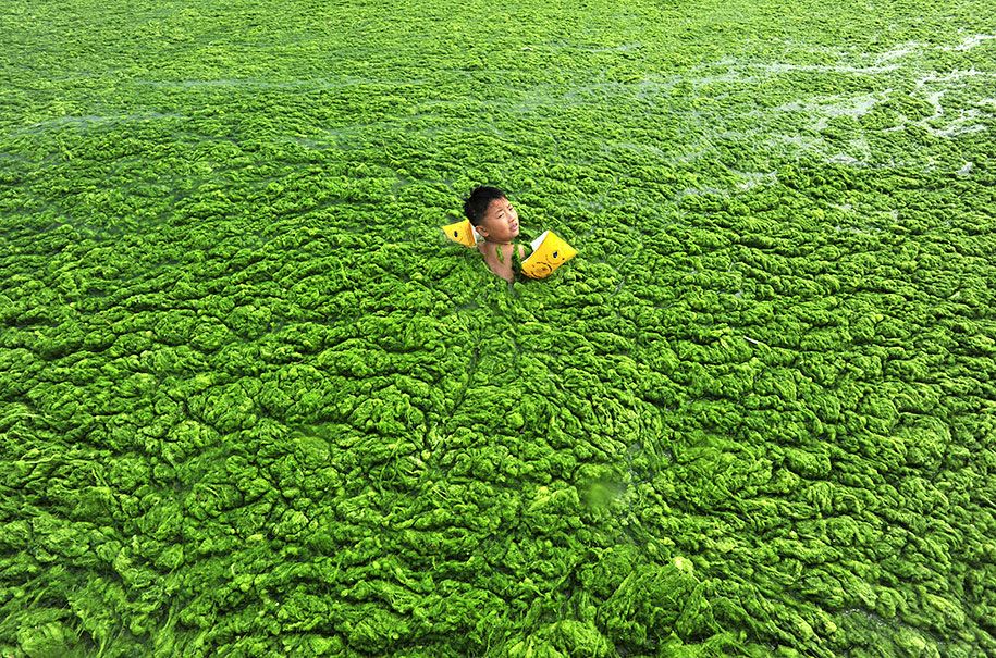공해 환경 문제 사진 중국 -5