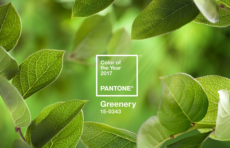 पैनटोन रंग के इस साल के 2017-हरियाली-18