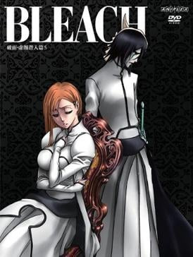   Bleach: Vollständige Zusammenfassung von Bleach: Episoden 1-366