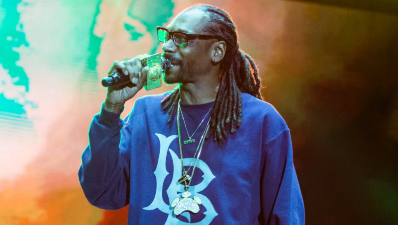 Snoop Dogg никога не е гласувал, гласуване, промиване на мозъци, криминално досие